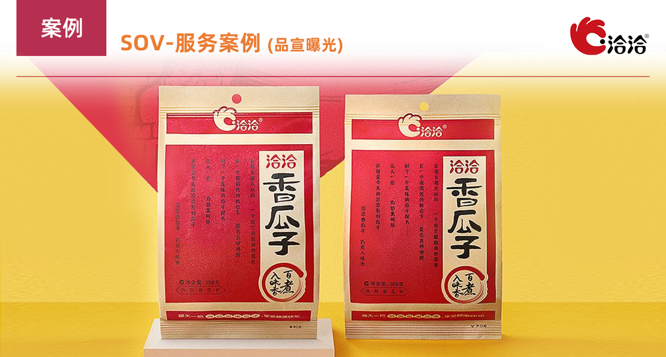 搜索優(yōu)化-服務案例（品宣曝光）