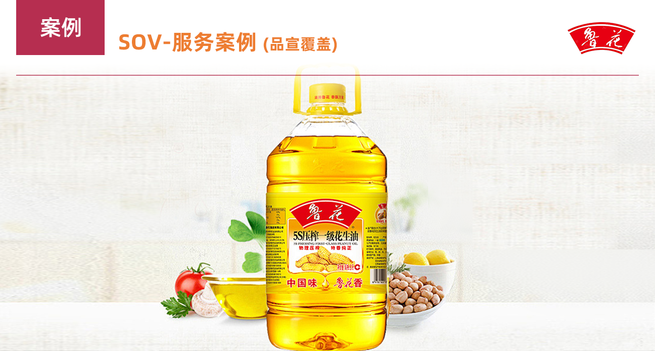 搜索優(yōu)化-服務案例（品宣覆蓋）